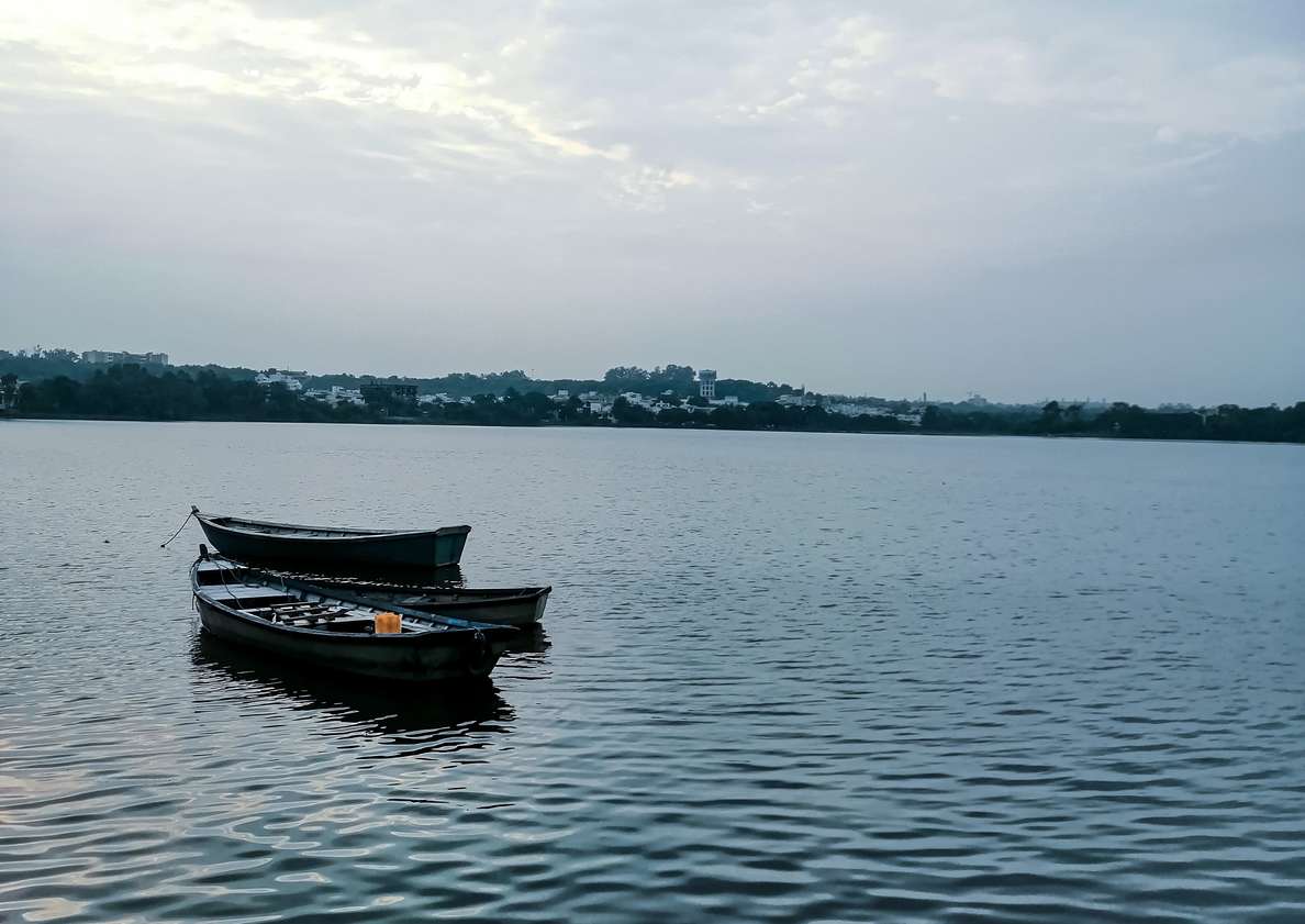 suresh tripathi attorneys bhopal