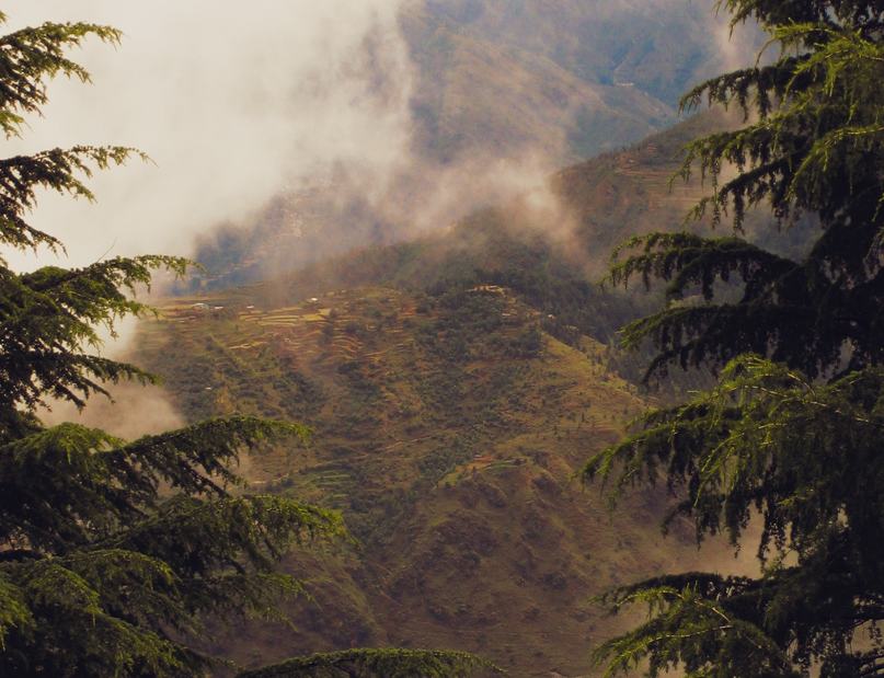 suresh tripathi attorneys dehradun