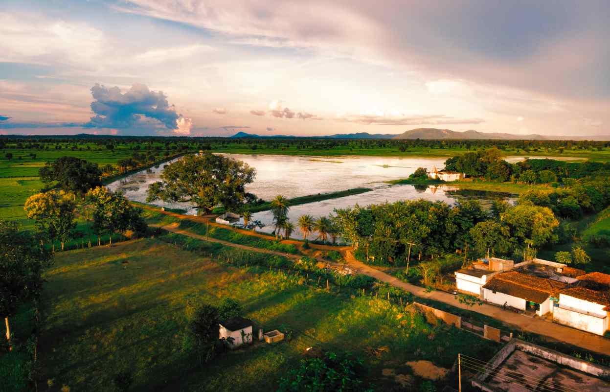 suresh tripathi attorneys raipur